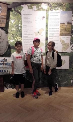 Excursia in Ungaria organizata de APM si Firma de colectare ALPIN